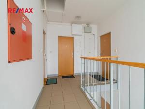 Pronájem bytu 1+kk, Přeštice, Na Chmelnicích, 41 m2