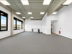 Pronájem výrobních prostor, Brno, Vinohradská, 446 m2