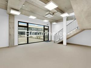 Pronájem výrobních prostor, Brno, Vinohradská, 446 m2