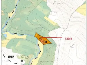 Prodej lesa, Pelhřimov, 11380 m2