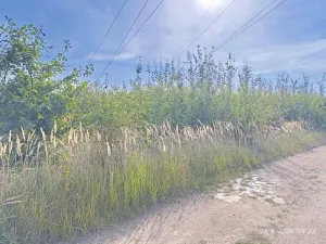 Prodej podílu pozemku, Hluboká nad Vltavou, 1640 m2