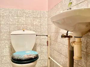 Prodej rodinného domu, Rybitví, Hakenova, 109 m2