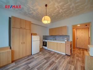 Pronájem bytu 1+kk, Kolín, Dělnická, 20 m2