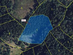 Dražba lesa, Vranová Lhota, 5978 m2