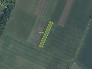 Prodej pole, Novosedly, 3161 m2
