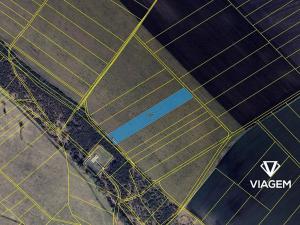 Prodej podílu lesa, Převýšov, 974 m2