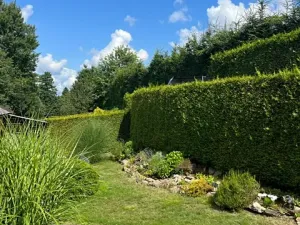 Prodej chalupy, Dlouhý Most, 60 m2