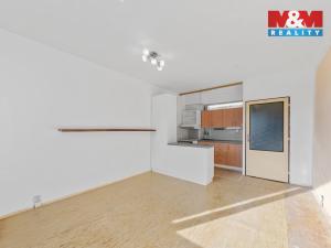 Prodej bytu 1+kk, Děčín - Děčín III-Staré Město, Žerotínova, 28 m2