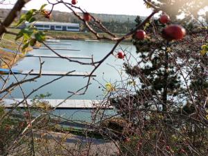 Prodej pozemku pro bydlení, Račice, 986 m2