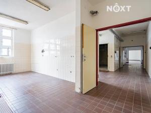 Pronájem obchodního prostoru, Český Krumlov, Urbinská, 753 m2