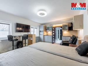 Prodej bytu 1+kk, Svatava, Palackého, 33 m2