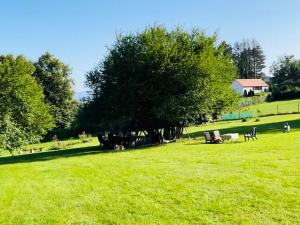 Prodej rodinného domu, Rabí, 320 m2