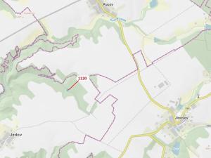 Dražba lesa, Náměšť nad Oslavou, 931 m2