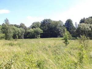 Dražba louky, Meziměstí, 28977 m2