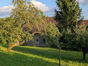 Prodej rodinného domu, Boháňka, 130 m2