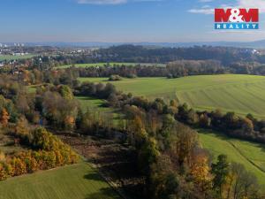 Prodej chaty, Plzeň - Litice, 31 m2