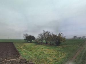 Prodej zahrady, Náměšť na Hané, 363 m2