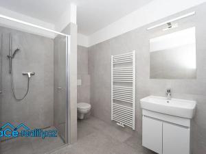 Pronájem bytu 1+kk, Kvasiny, 35 m2