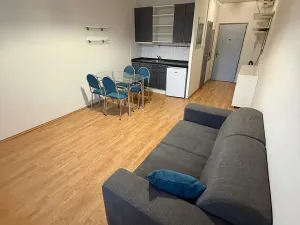 Pronájem bytu 1+kk, Praha - Záběhlice, Jabloňová, 25 m2