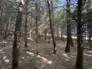 Prodej lesa, Lánov - Horní Lánov, 15996 m2