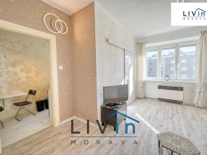 Pronájem bytu 1+1, Olomouc, Starodružiníků, 28 m2