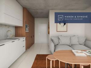 Pronájem bytu 1+kk, Brno, Koliště, 23 m2