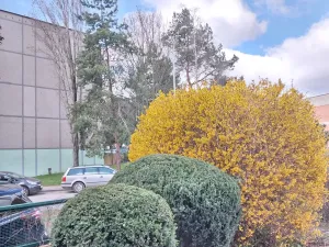 Pronájem bytu 1+kk, Praha - Liboc, Navigátorů, 20 m2