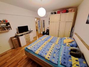 Pronájem bytu 3+1, Brno, Kroměřížská, 72 m2