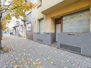 Pronájem kanceláře, Praha - Vršovice, Petrohradská, 50 m2