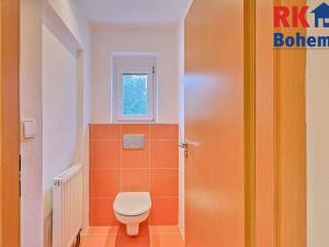 Pronájem bytu 3+1, Český Brod, Masarykova, 119 m2