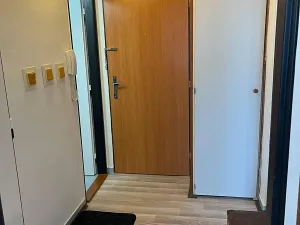 Pronájem bytu 1+1, Planá nad Lužnicí, Průmyslová, 40 m2