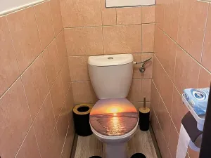 Pronájem bytu 1+1, Planá nad Lužnicí, Průmyslová, 40 m2