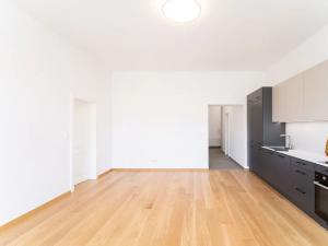 Pronájem bytu 2+kk, Praha - Žižkov, Jeronýmova, 61 m2