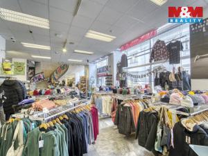 Pronájem obchodního prostoru, Plzeň - Vnitřní Město, Zbrojnická, 598 m2