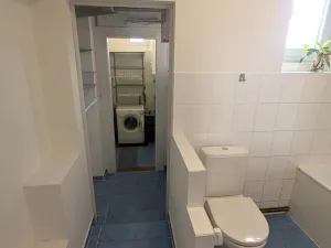 Pronájem bytu 1+1, Ústí nad Labem, Stroupežnického, 33 m2