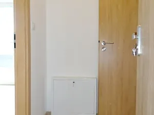 Pronájem bytu 1+kk, Týnec nad Sázavou, 25 m2