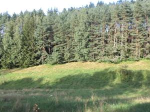 Dražba louky, Dolní Dobrouč, 71151 m2