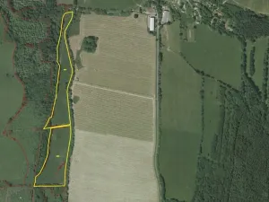 Dražba louky, Dešenice, 67850 m2