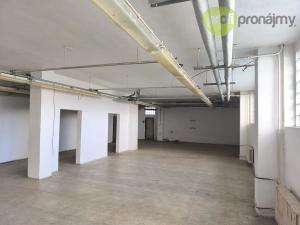 Pronájem skladu, Ostrava, Novoveská, 222 m2