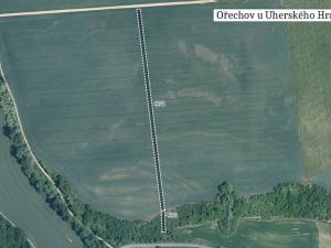 Prodej pole, Ořechov, 12328 m2