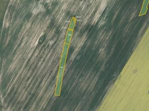 Prodej pole, Vyklantice, 9138 m2