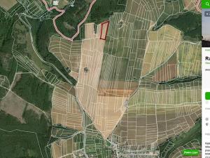 Prodej pole, Radošovice, 6988 m2