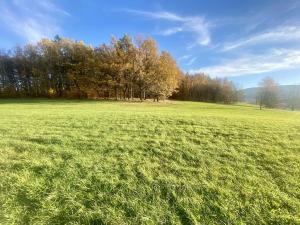 Prodej louky, Mníšek, 33698 m2