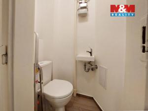 Pronájem bytu 2+kk, Praha - Žižkov, Biskupcova, 44 m2