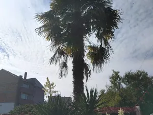 Prodej ubytování, Ravda, Bulharsko, 1000 m2