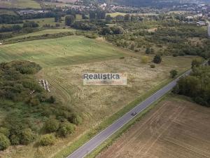 Prodej louky, Starý Plzenec, Bezručova, 18000 m2