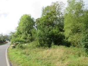 Dražba zahrady, Šemnice, 472 m2