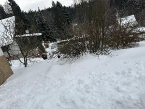 Dražba rodinného domu, Jiřetín pod Bukovou, 200 m2