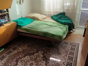 Prodej bytu 2+1, Ostrava, Sokolovská, 60 m2