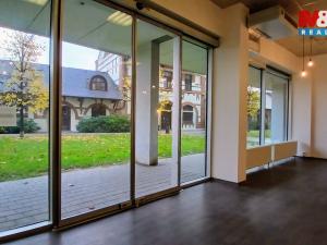 Pronájem kanceláře, Praha, Jankovcova, 58 m2